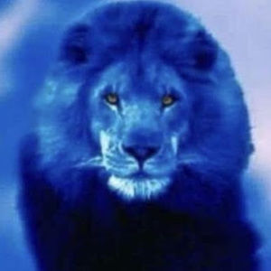 Meet your Posher, Jeffery